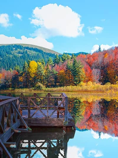 Bolu