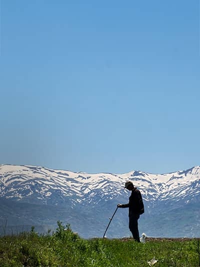 Muş