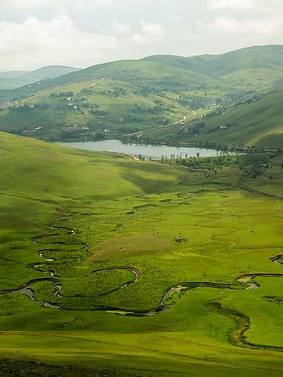Ordu