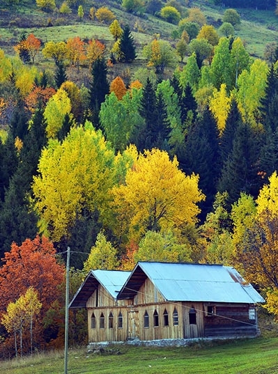 Şavşat