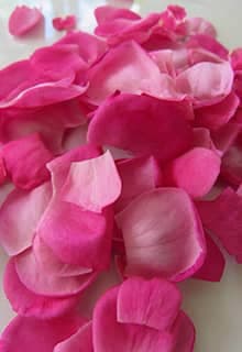 Kırşehir Roses