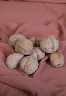 Kaman Walnut