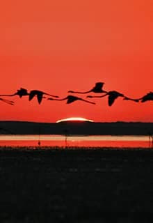 Seyfe Lake Bird Sanctuary